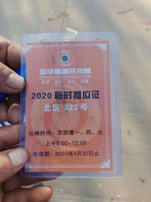 金华盆景批发市场在哪里 怎么走 图片