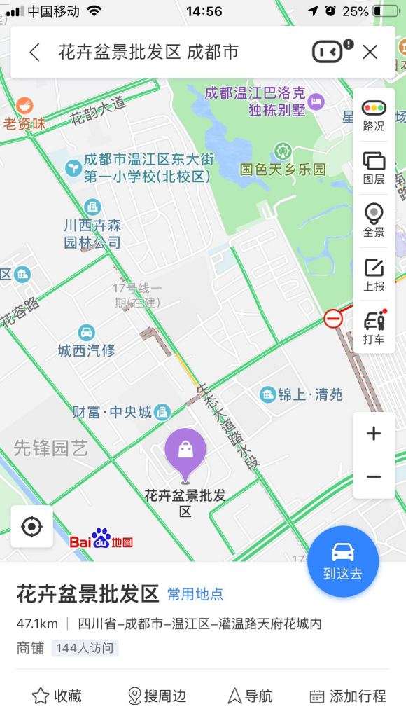 温江盆景批发市场 金弹子盆景 200万