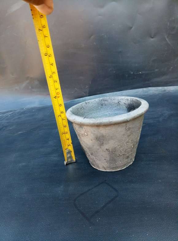 盆景小泥盆批发 一箱100个  图片