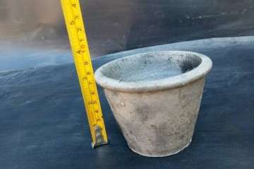 盆景小泥盆批发 一箱100个  图片