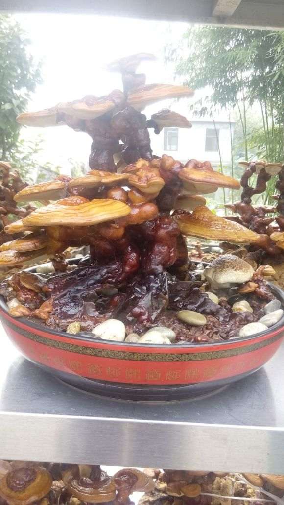 淮安花卉盆景批发市场 能摆摊吗