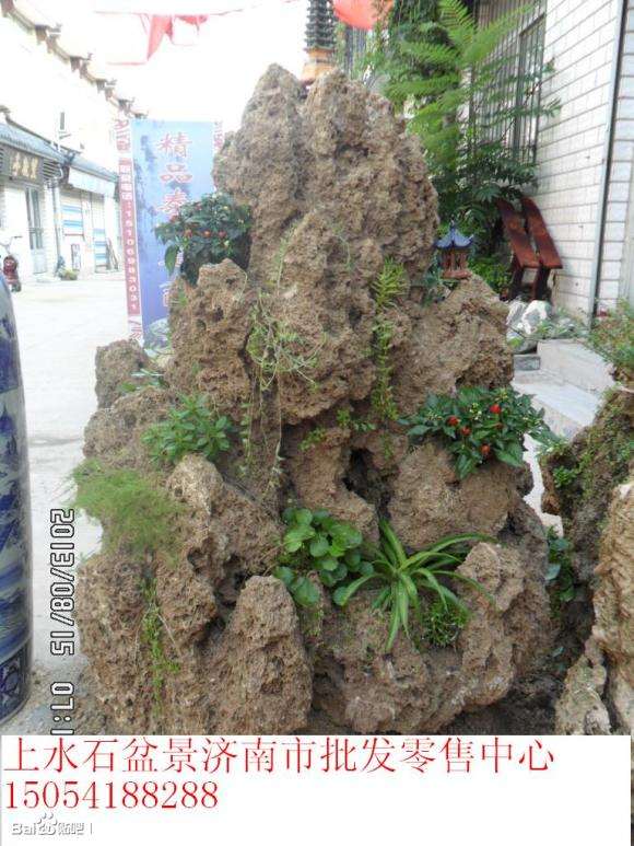 上水石盆景济南市批发零售中心