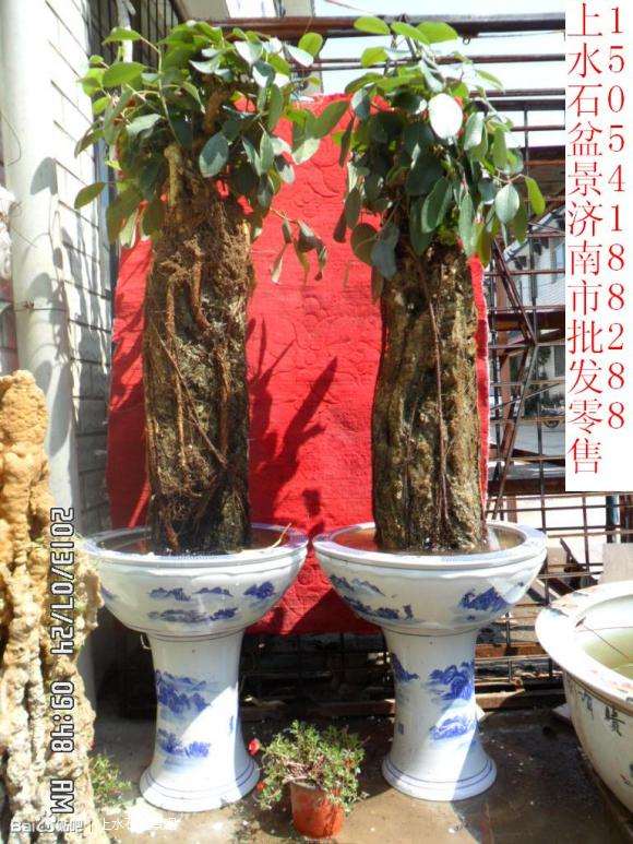 上水石盆景济南市批发零售中心