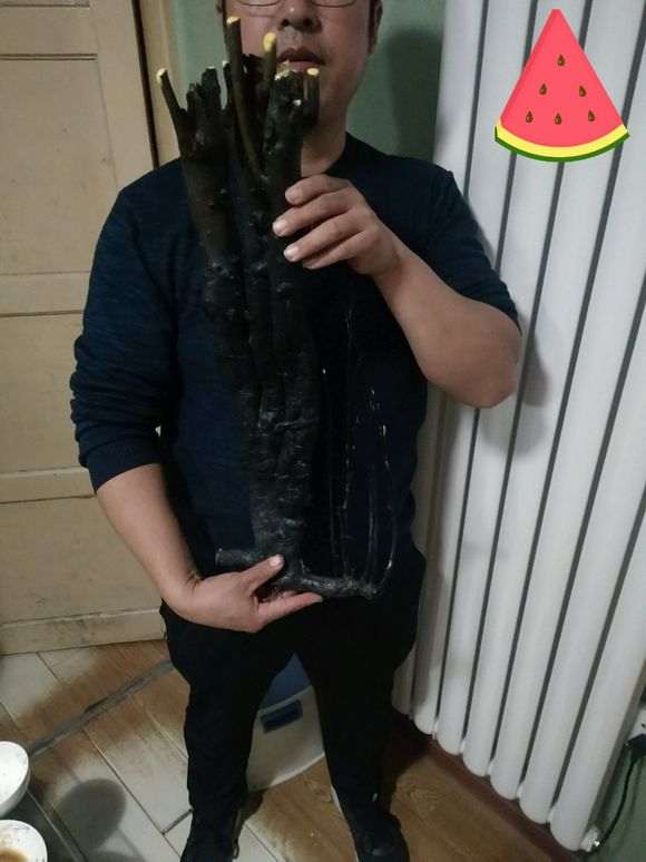 买的丛林板根灌木下山桩 怎么样 图片