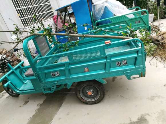 山栀子下山桩结果了 怎么样 图片