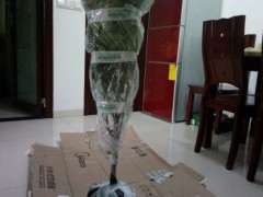 栀子独杆下山桩和丛生有什么区别 图片