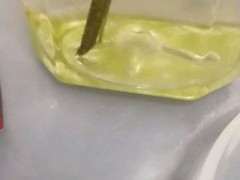 栀子下山桩水插一定要用透明的杯子吗