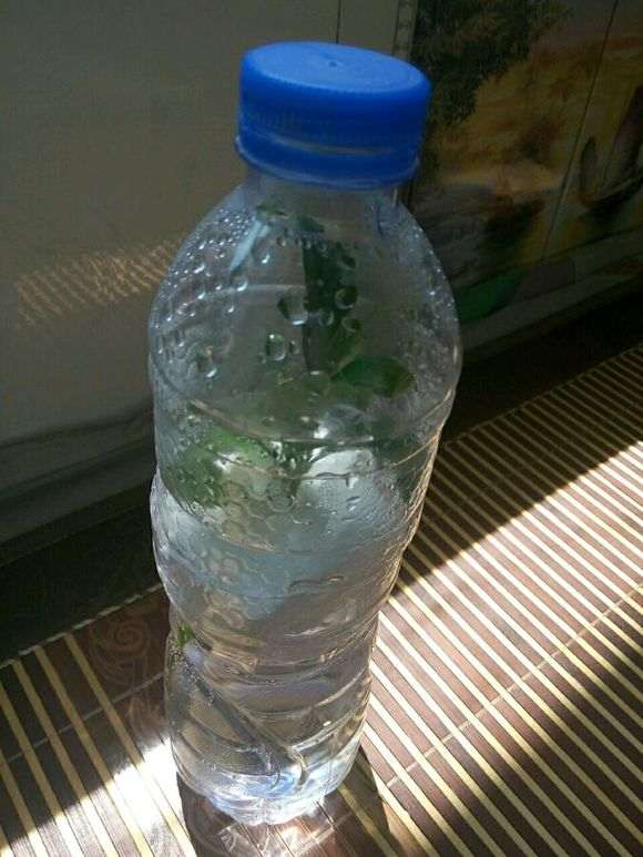 图解 水培栀子花怎么生根的方法