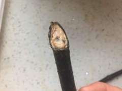 栀子花下山桩用粗沙 还是细沙好 图片