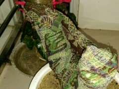 用沙插栀子花下山桩 不能生根吗 要套袋