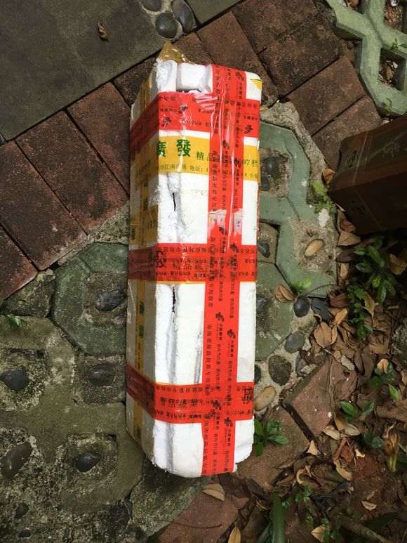 种一棵栀子下山桩 可以成活吗 图片