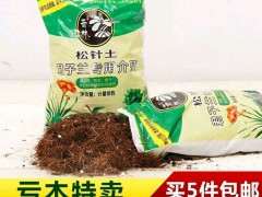 集市买的胶泥土可以种栀子花下山桩吗