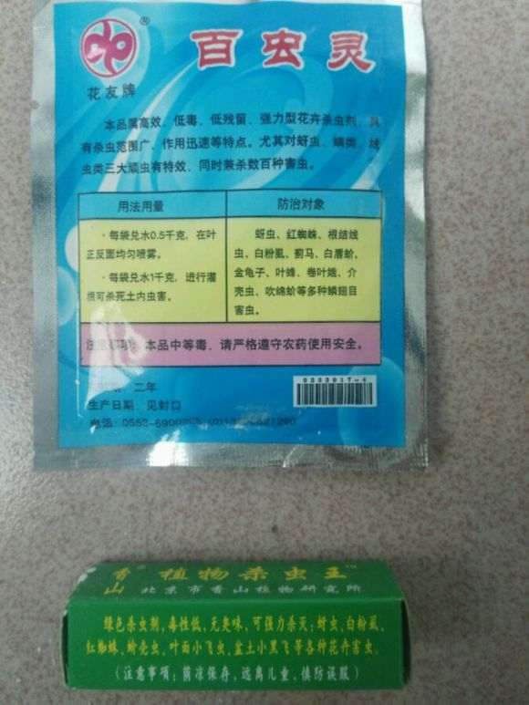 栀子花下山桩是不是得了什么病 图片