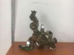 现在栀子下山桩能生根 怎么办 图片