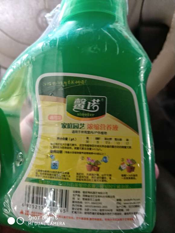 为什么海棠下山桩浇水不能浇一次 图片