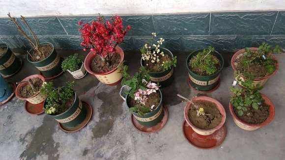 玩海棠下山桩 被骗了200元 怎么办 图片