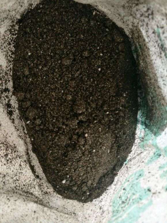 火焰海棠下山桩可以用营养土吗 图片