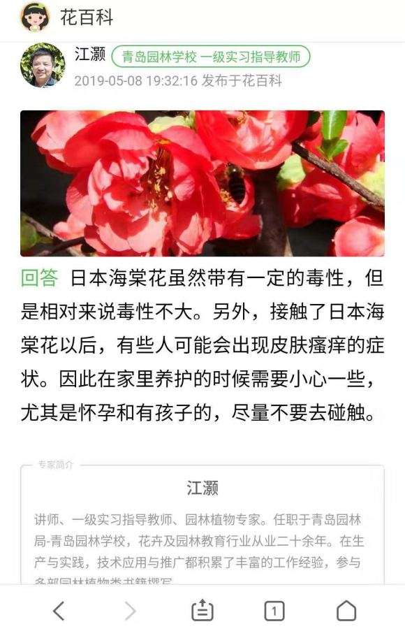 哪些品种的海棠下山桩是无毒的 图片