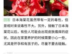 哪些品种的海棠下山桩是无毒的 图片