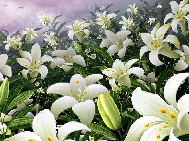 不同盆栽东方百合品种物候期比较 图片