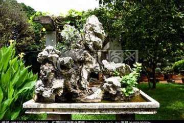 海口市举行石山盆景根雕大比拼活动