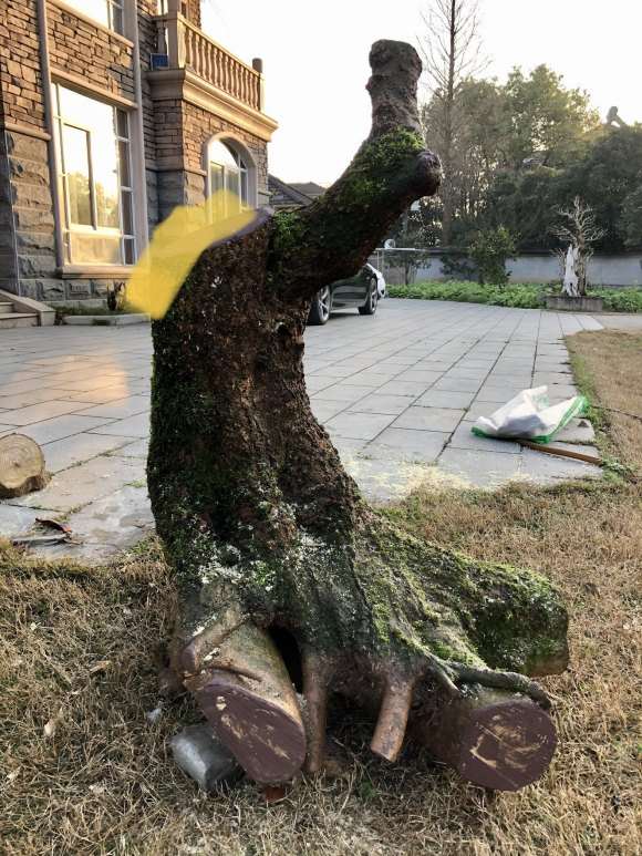 树下山桩 150斤 谁来帮忙设计 图片