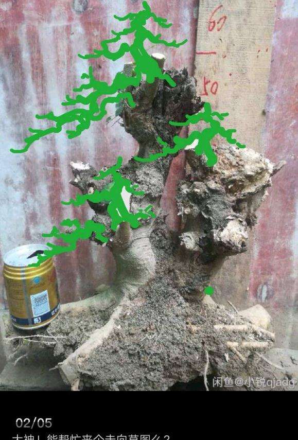 朴树下山桩的简单设计图 怎么样