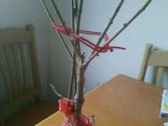 这是素心腊梅下山桩 怕被骗了 图片