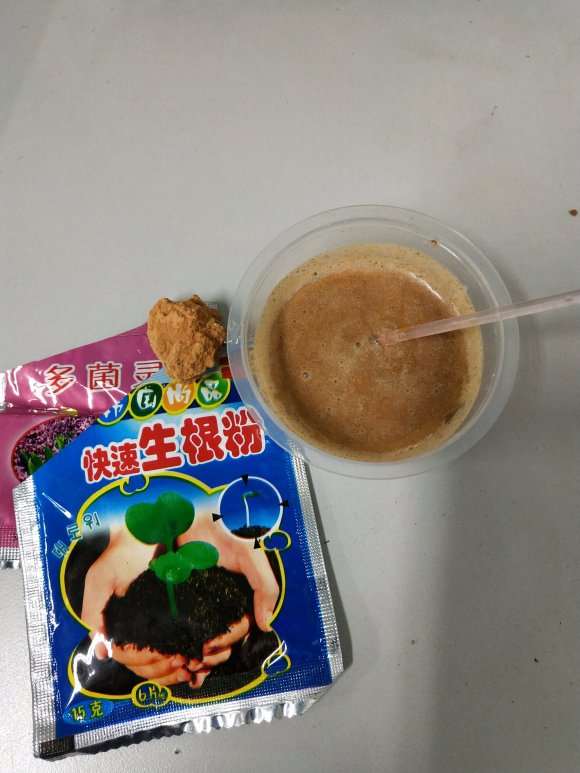 腊梅下山桩怎么扦插的方法 图片