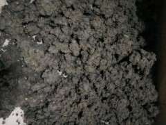 种腊梅下山桩可以用绿化带的土吗 图片