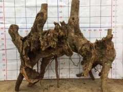 丛林过桥式腊梅下山桩怎么设计的方法