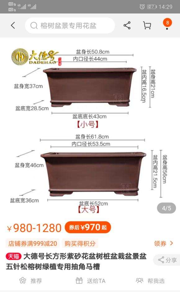 腊梅下山桩用什么盆栽植好看 图片