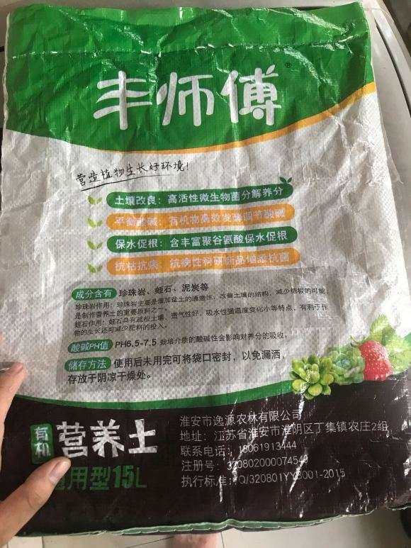 瑞香下山桩根烂了 还能活吗 图片