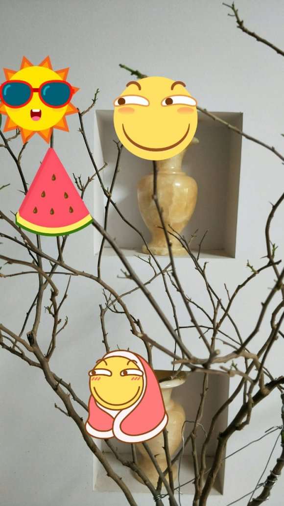 三角梅盆栽还没有发芽 难都死了 图片