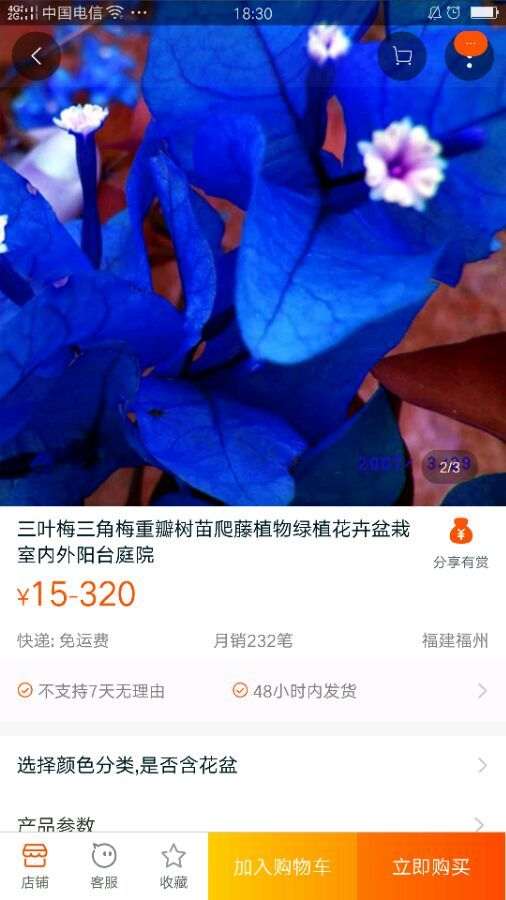 宿迁卖蓝色三角梅盆栽 是不是骗局 图片