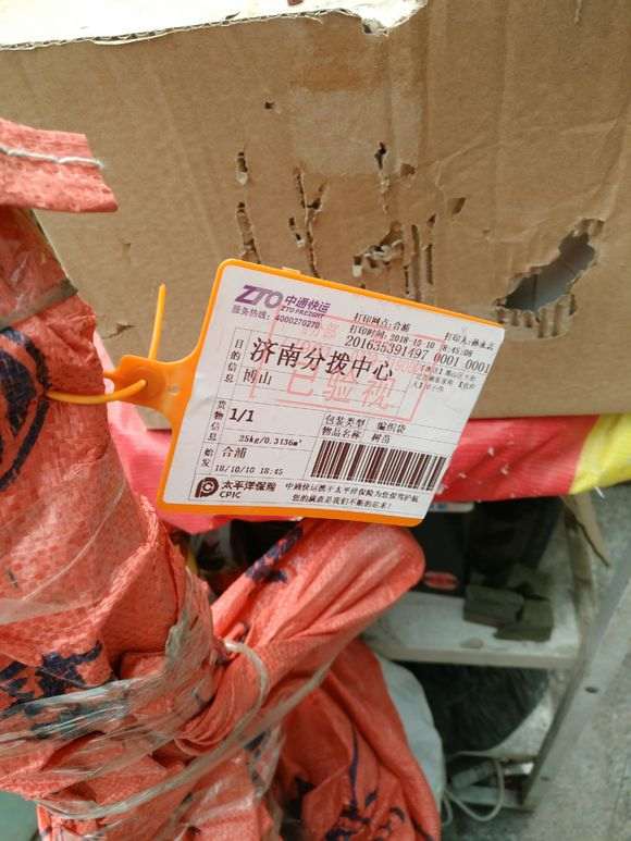 山东三角梅下山桩枝干很不错 怎么样