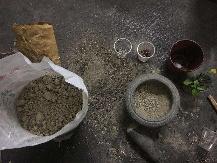 记录扦插三角梅盆栽的过程 图片