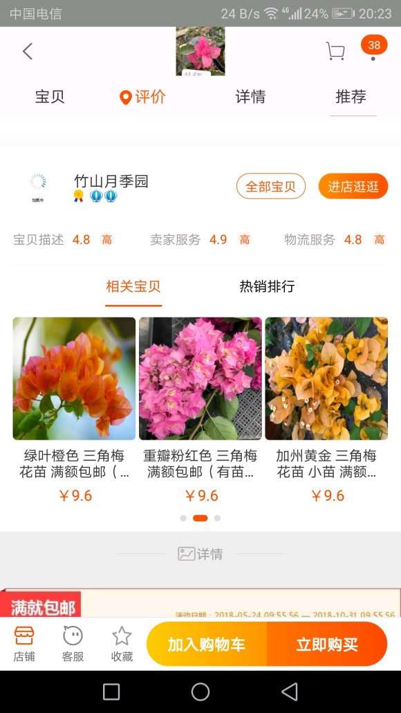淘宝哪家店买三角梅盆栽 最好 图片