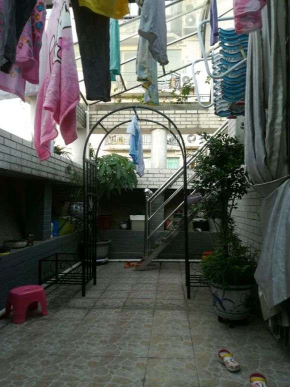 三角梅盆栽可以爬拱门吗 怎么样 图片