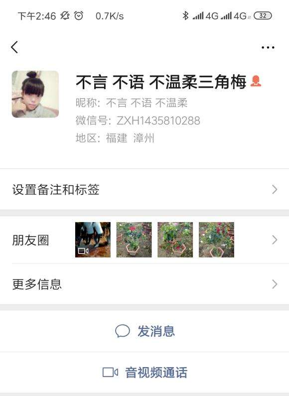 为什么宿迁三角梅盆栽带生根粉都死