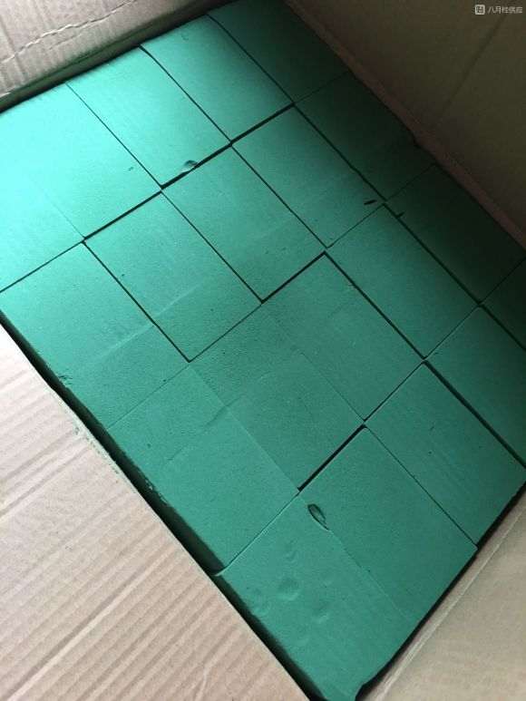 为什么三角梅盆栽用花泥容易生根 图片