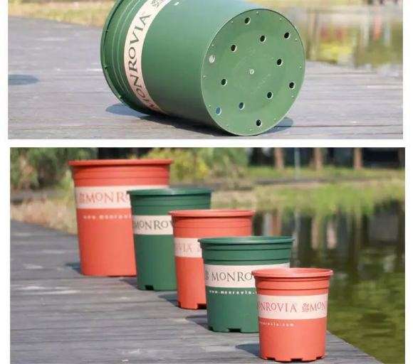 什么盆子更适合三角梅盆栽 图片