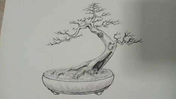 三角梅下山桩的造型设计图 图片