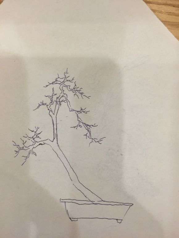 三角梅下山桩怎么设计的方法 图片