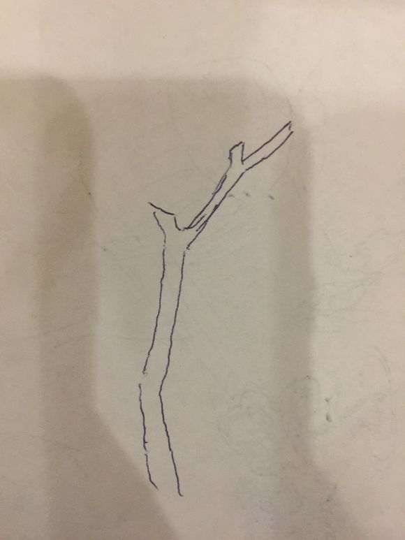 三角梅下山桩怎么设计的方法 图片