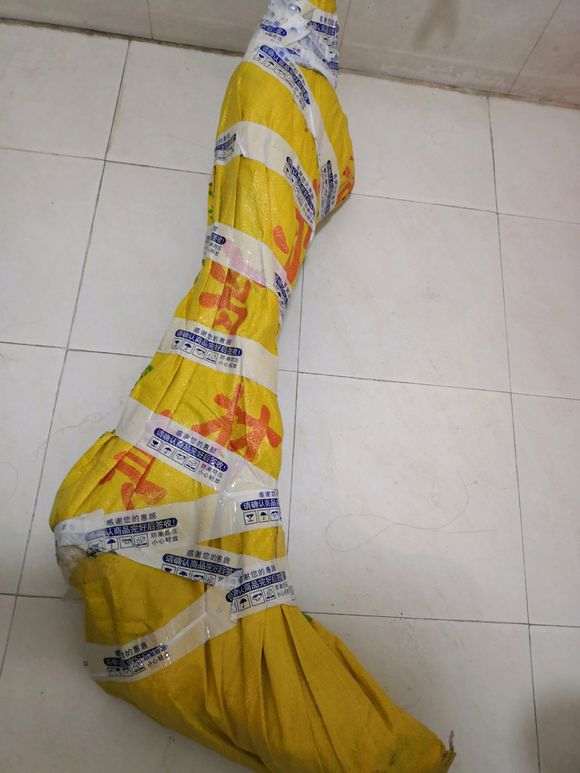 三角梅下山桩发芽之前要套袋吗 图片