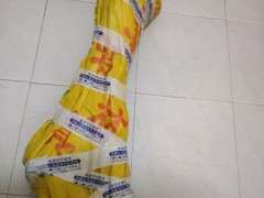 三角梅下山桩发芽之前要套袋吗 图片