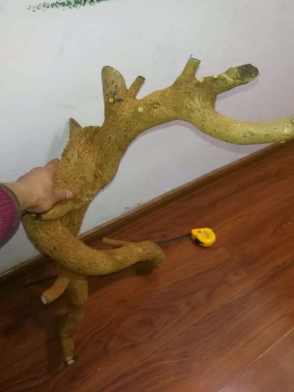 椰糠能不能栽三角梅下山桩 图片