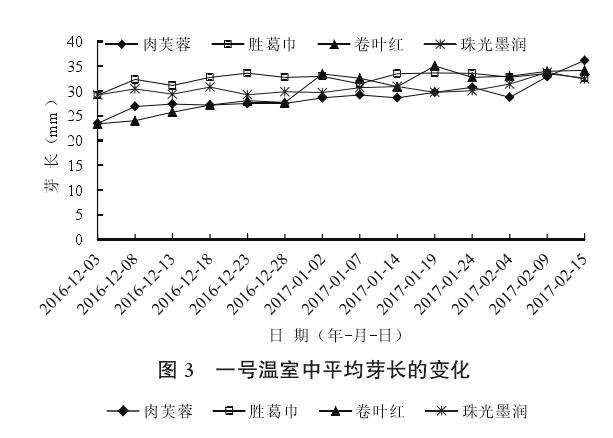 赤霉素处理对牡丹盆栽的影响 图片