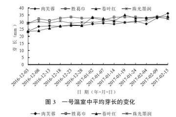 赤霉素处理对牡丹盆栽的影响 图片